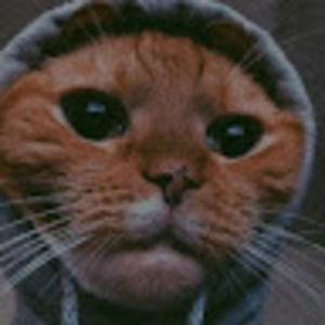 Meet your Posher, Jaymie